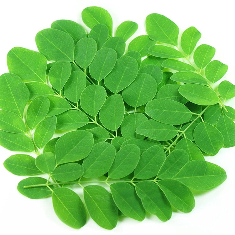 Hạt giống chùm ngây